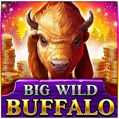Play Big Wild Buffalo Winport casino